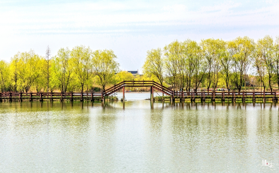 湖州图影湿地公园图片