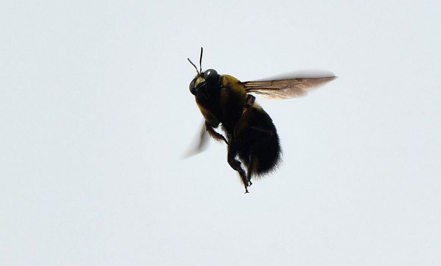 ˴ڷ