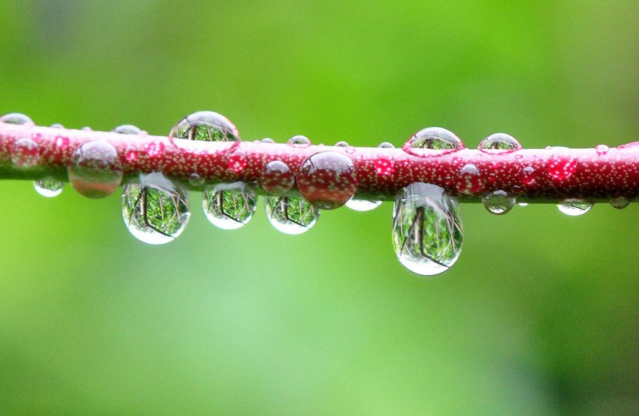 多彩的雨水滴兒