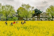 古文化遗址广富林公园春色