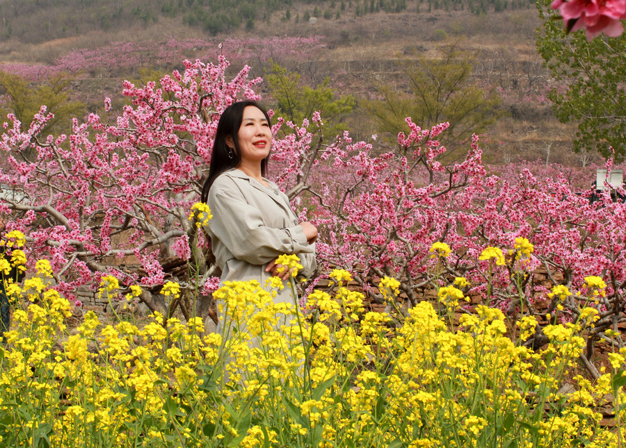 桃花和美女图片油菜花图片