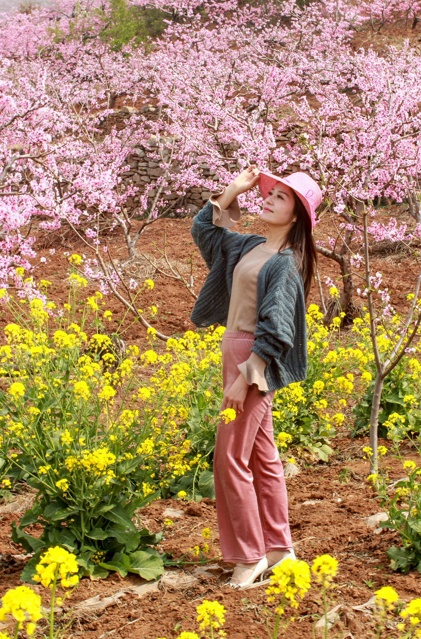 桃花和美女图片油菜花图片