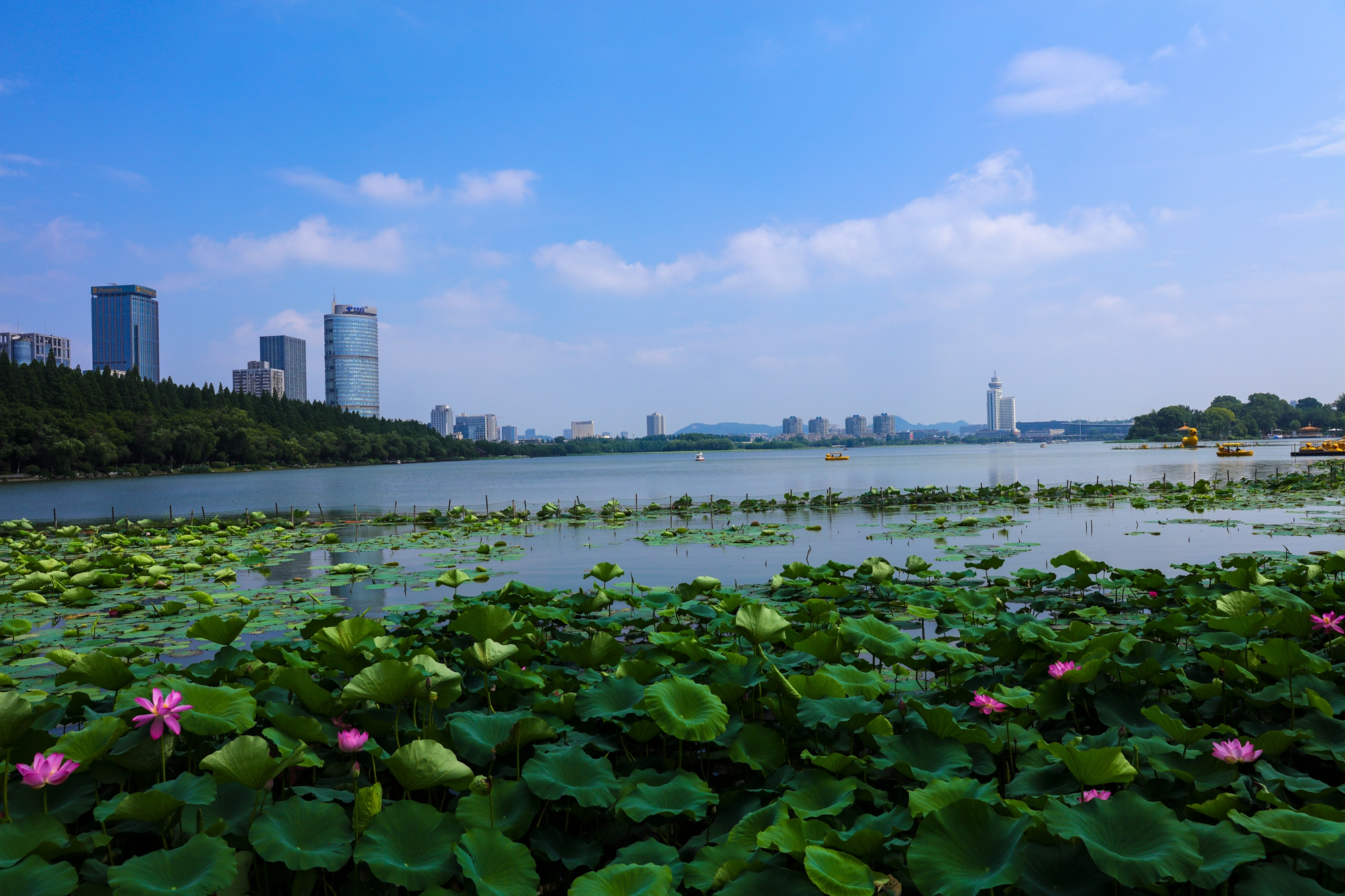 福鼎玄武湖图片