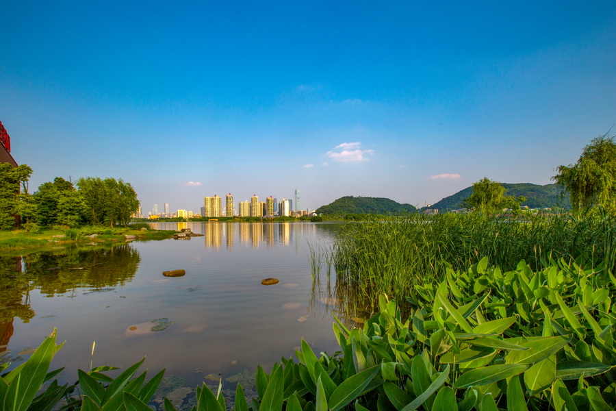 西湖文化公園風景3