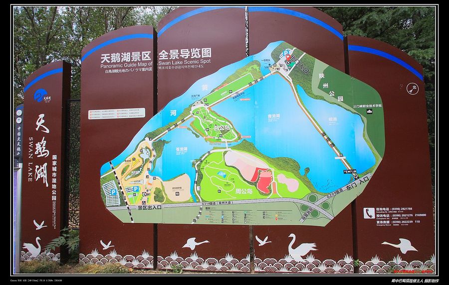 河南三门峡天鹅湖国家城市湿地公园漫游 杂拍之一