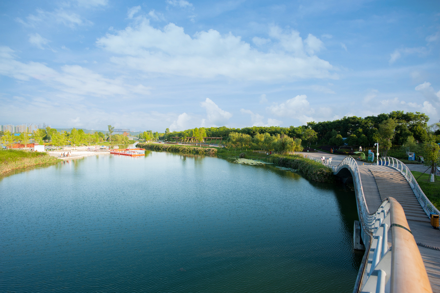 乐清滨海湿地公园图片