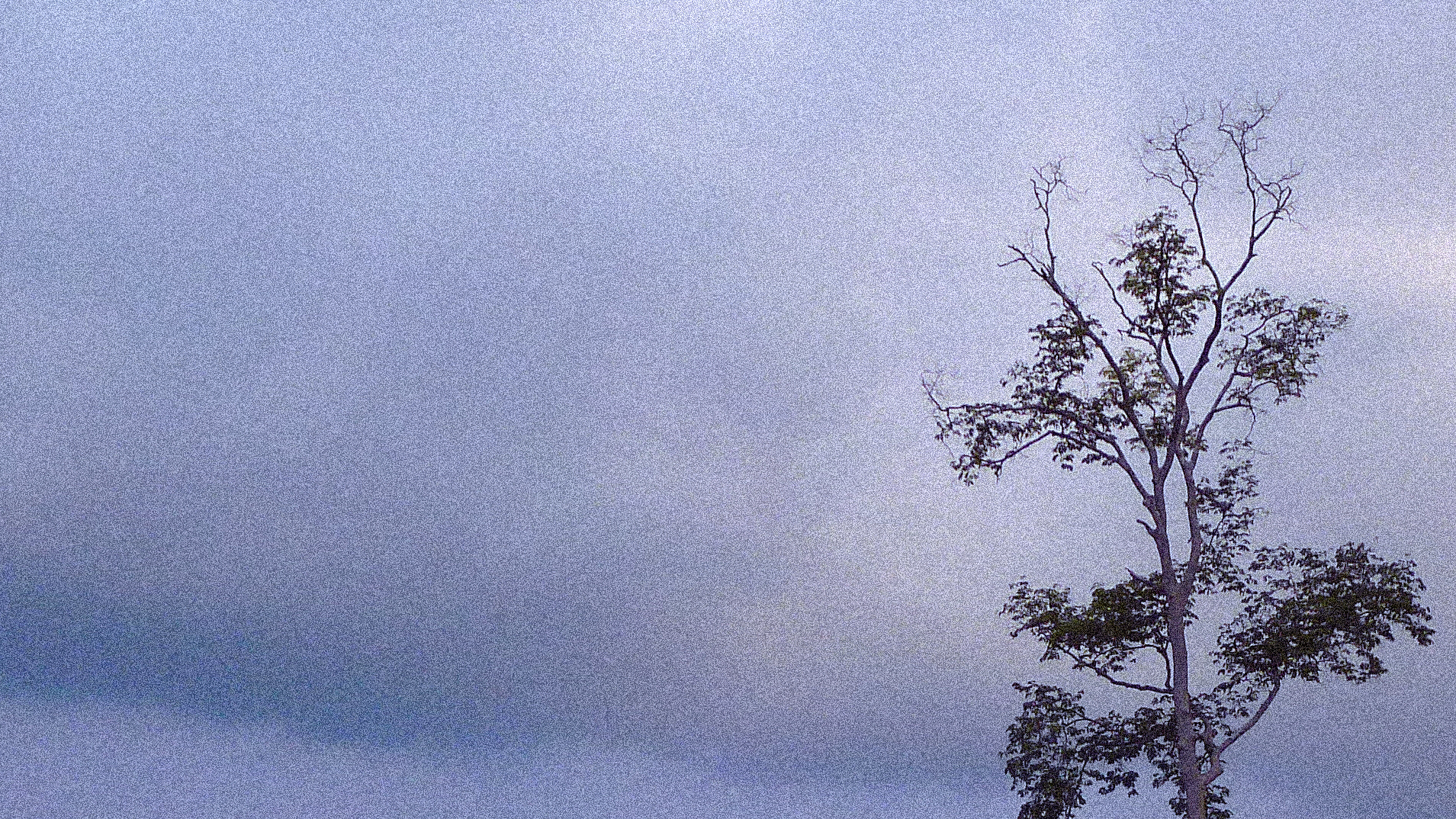 傾盆大雨