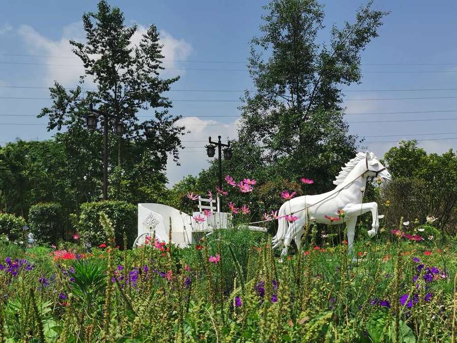 什邡花坞花海景区图片