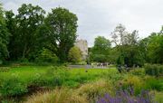 布拉尼城堡（Blarney Castle）和花园【上】