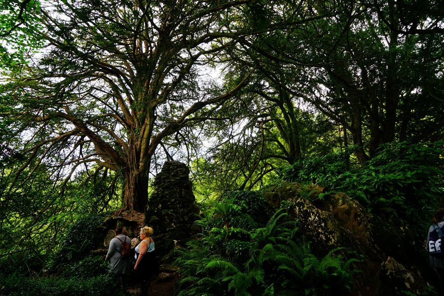 ǱBlarney Castleͻ԰ϡ