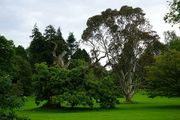 ǱBlarney Castleͻ԰С