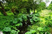 ǱBlarney Castleͻ԰С