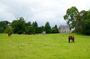 ǱBlarney Castleͻ԰¡