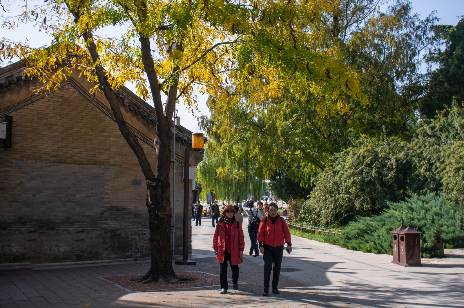壁纸 公园秋天，树木，黄色和橙色的树叶 2560x1600 HD 高清壁纸, 图片, 照片