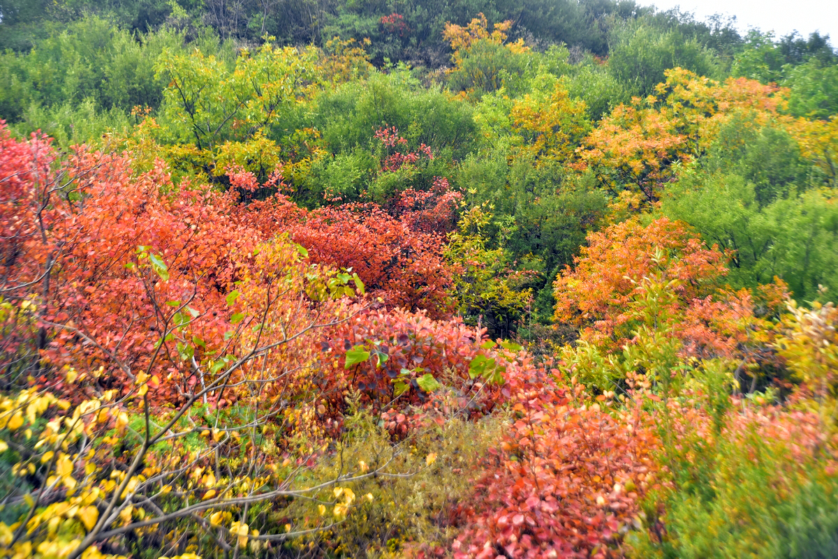 在汝州九峰山怎样玩才能不走弯路 (在汝州九峰山怎么走)