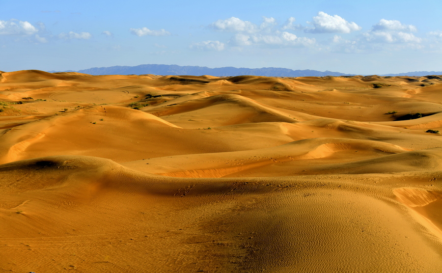 江南大漠景区图片图片