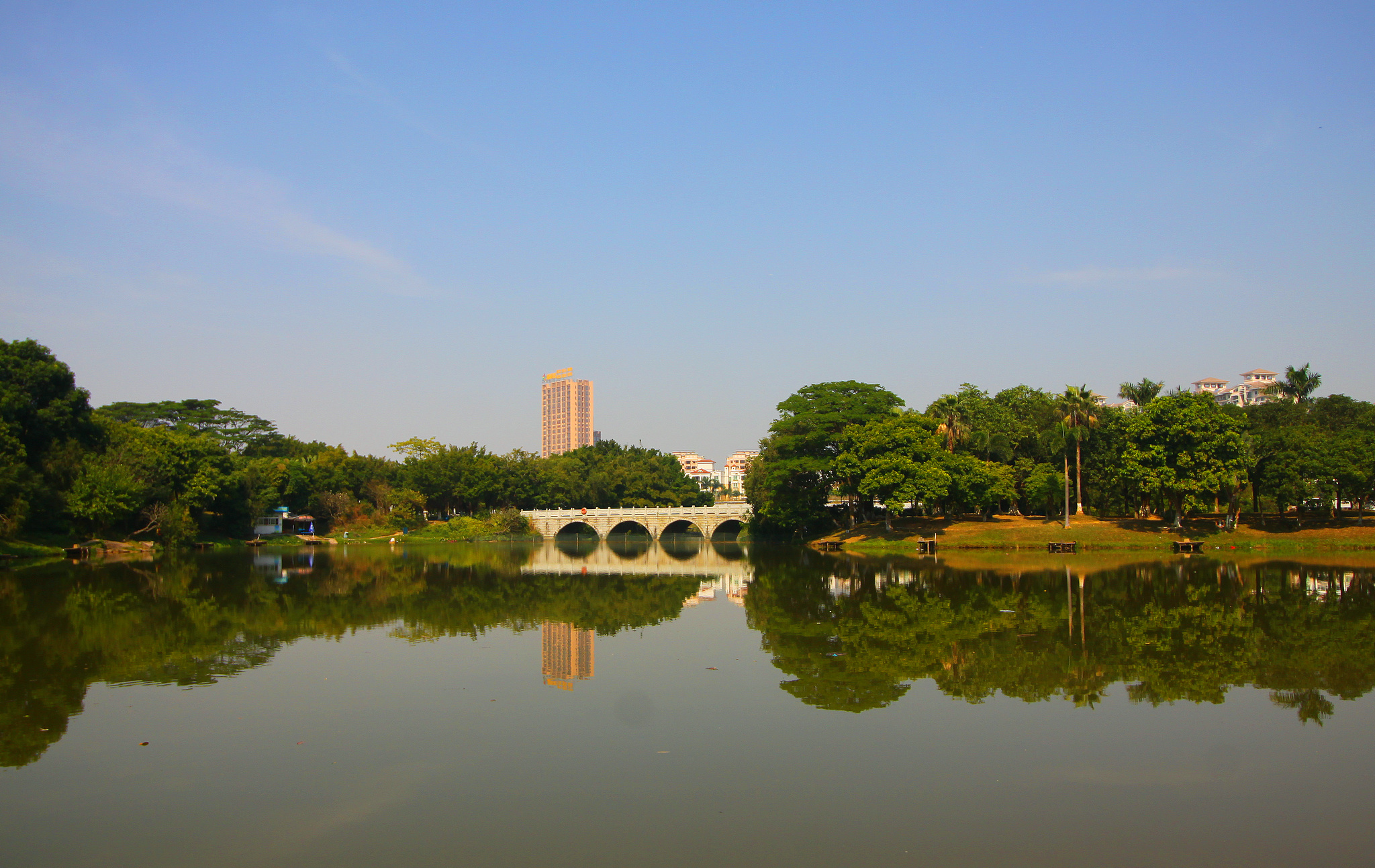 大夫山山顶图片