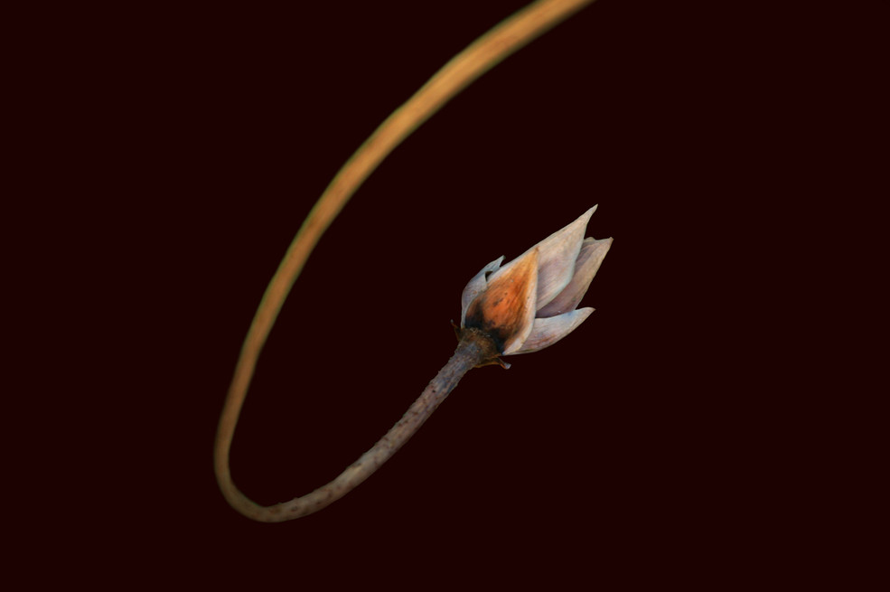 鿴