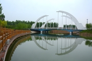 鹅城的桥（拍摄于河北广平环城水系）