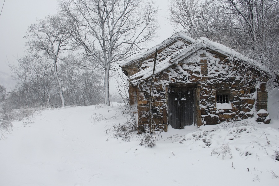 乡村雪景摄影图片图片