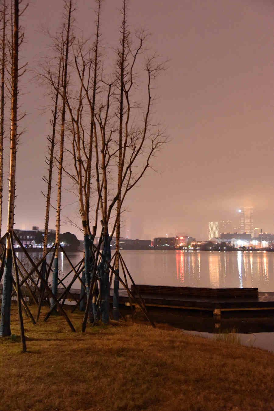 雨湖公园夜景图片
