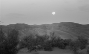 沙漠月色