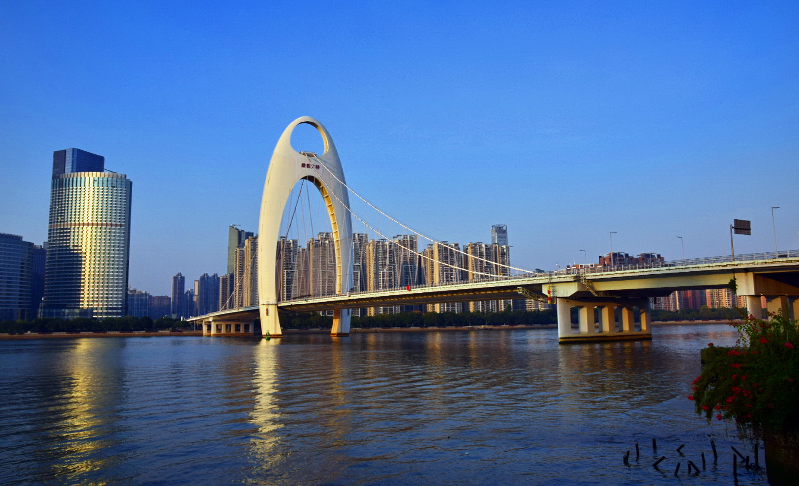 广州塔海心桥,广州塔海心桥夜景,广州塔海心桥图片_大山谷图库