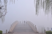 河北广平：呈现雾里看花景观
