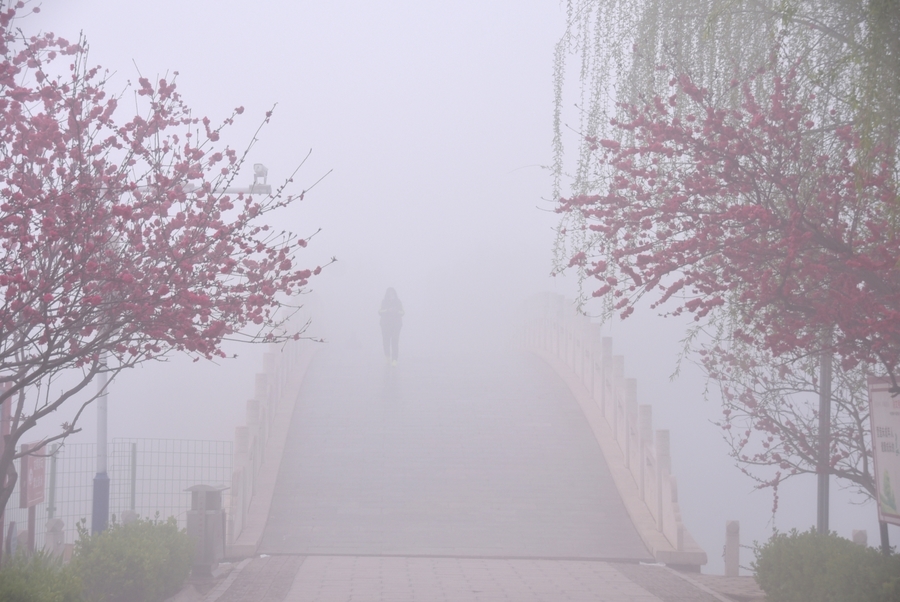 花非花雾非雾风景图片图片