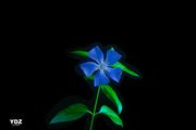 ·С1