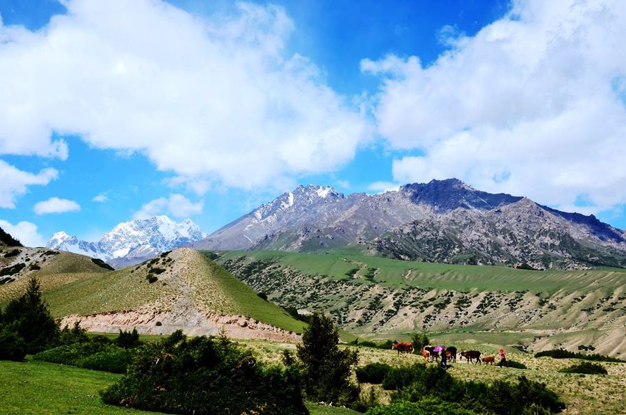 高山族风光图片