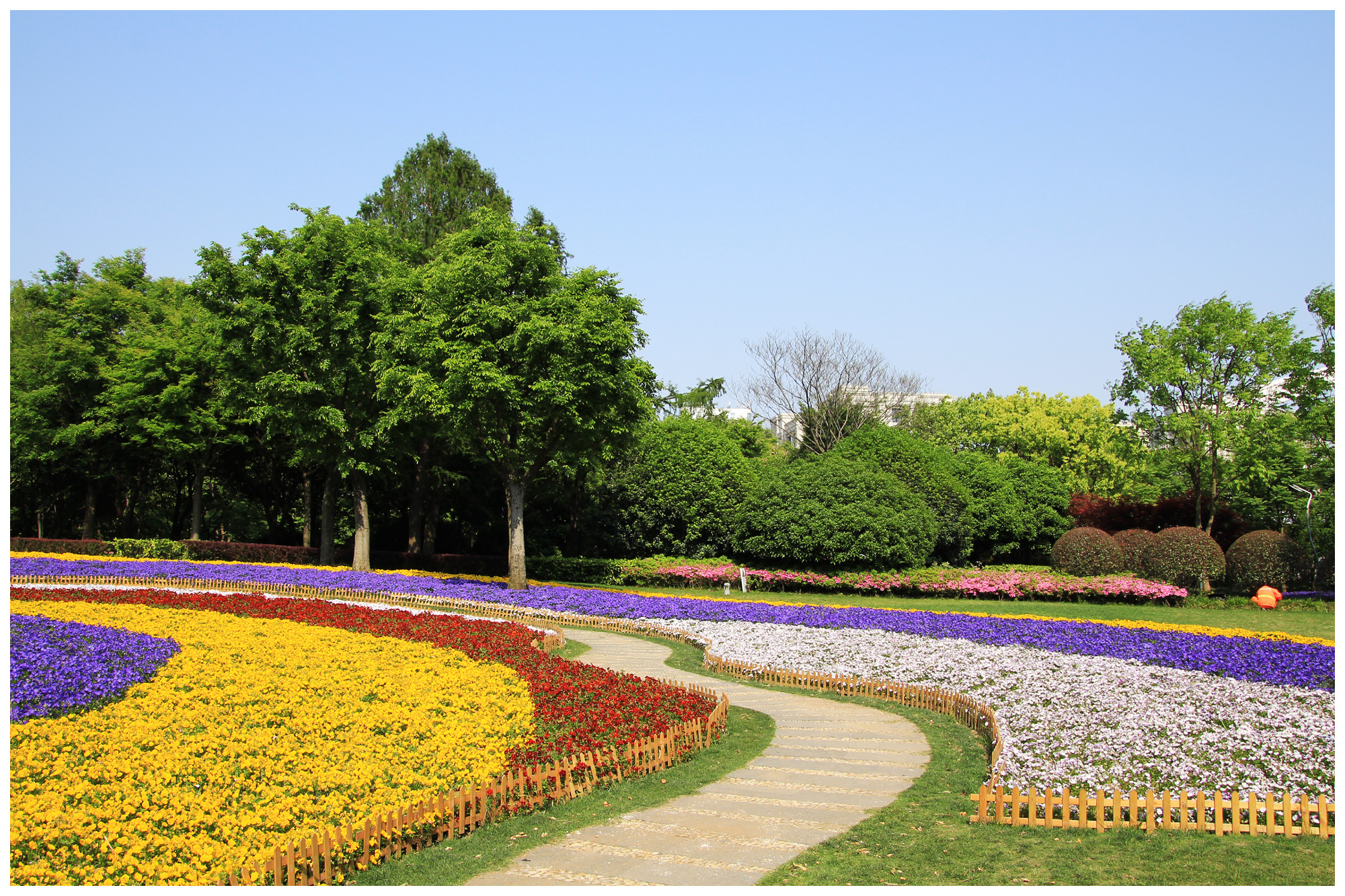 北京 北海公园的花坛 - 花粉随手拍人文 花粉俱乐部