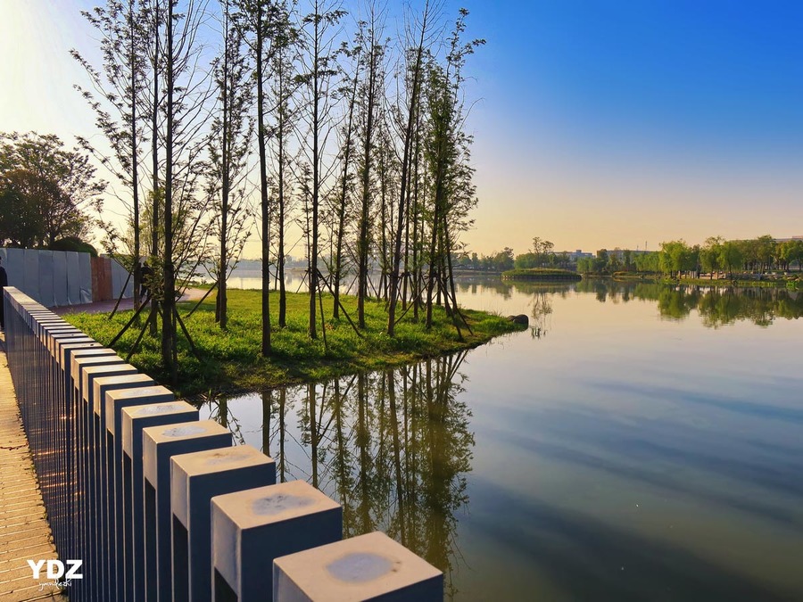 上海松江免费公园图片