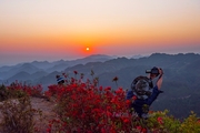 花山夕阳红