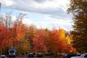 美国法兰哥尼亚诺奇国家公园的秋天