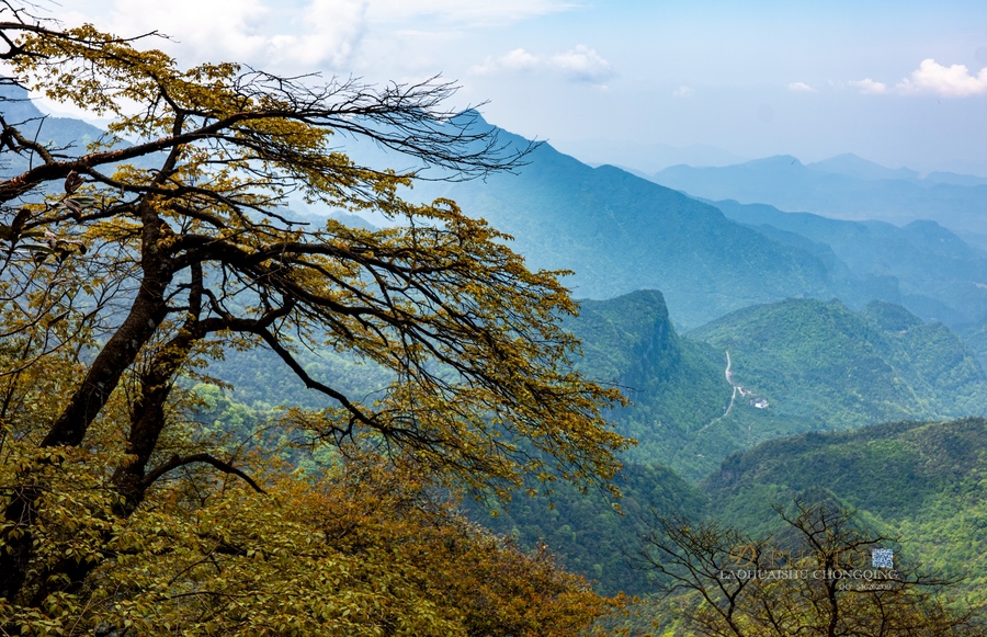 重庆南川金佛山