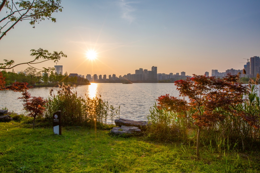 西湖文化公園風景 15