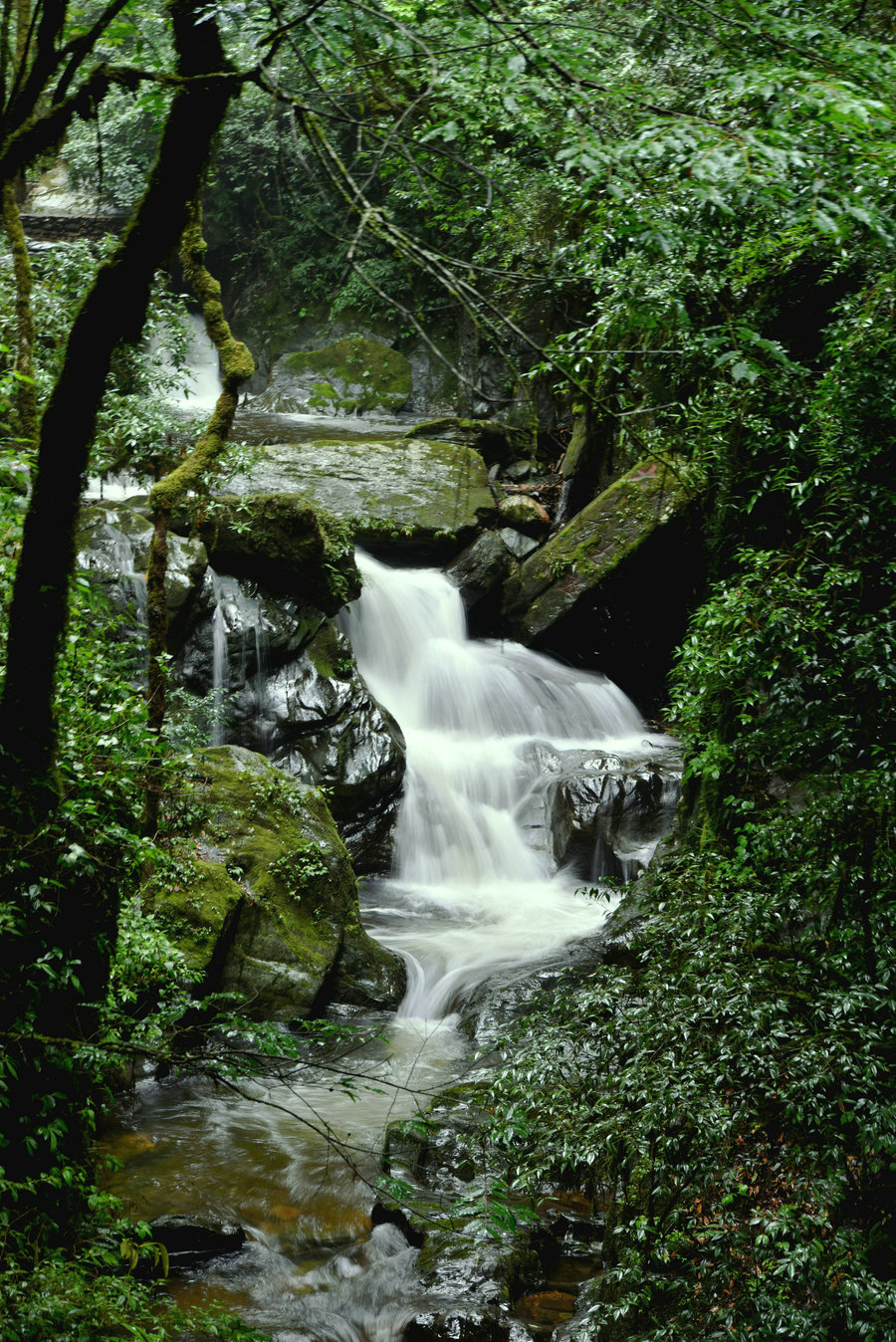 小溪水