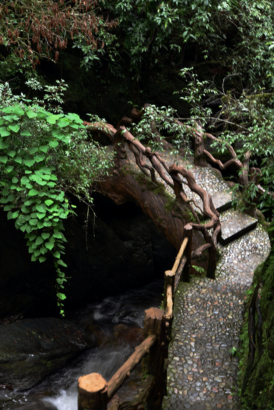 小溪水