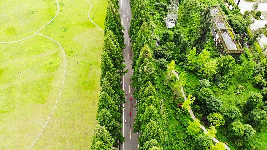 青城山鸟瞰图图片