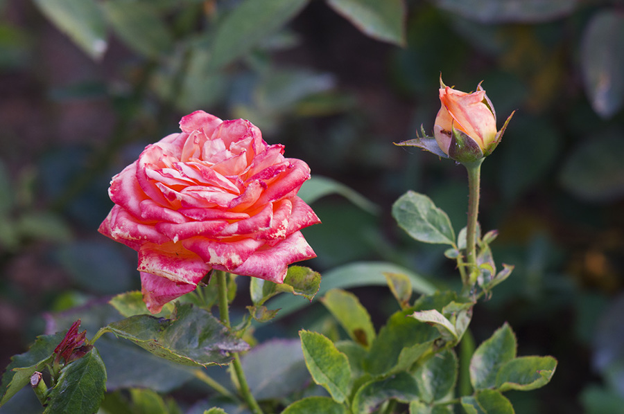 ѰǧٶȡAIS100/2.8Eɫʱ
