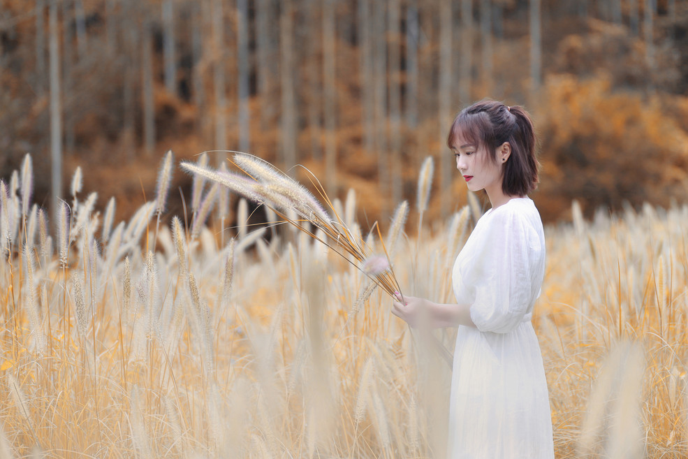 鿴
