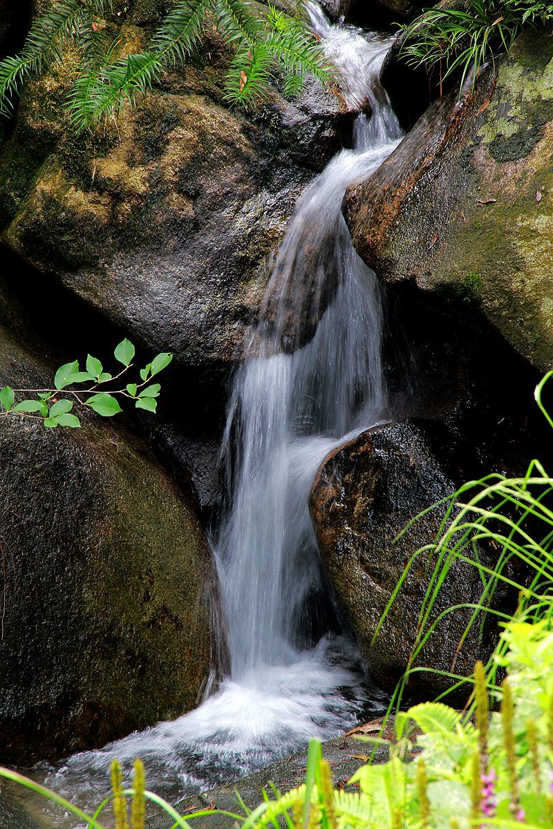 瑶溪风景图片