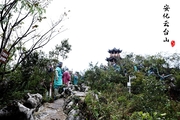 云台山茶花盛开|遇见最撩人的云台山风景区