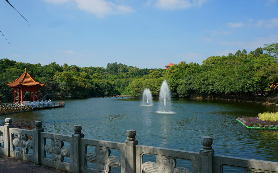 广州莲花山森林公园图片