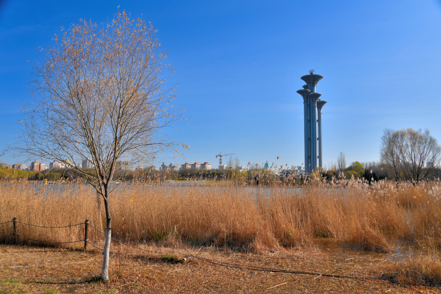 奧森公園隨拍