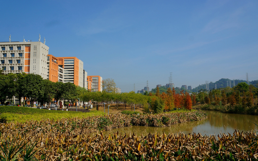 金堂大学城湿地公园图片