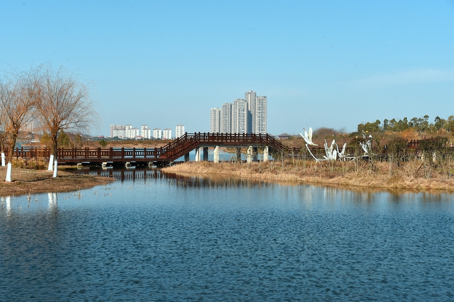 美丽的松雅湖湿地公园(1)