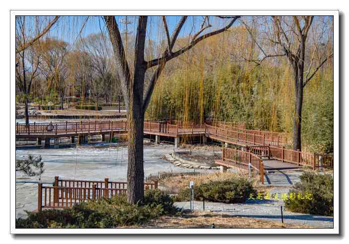 北京海淀公园(AI公园)图片