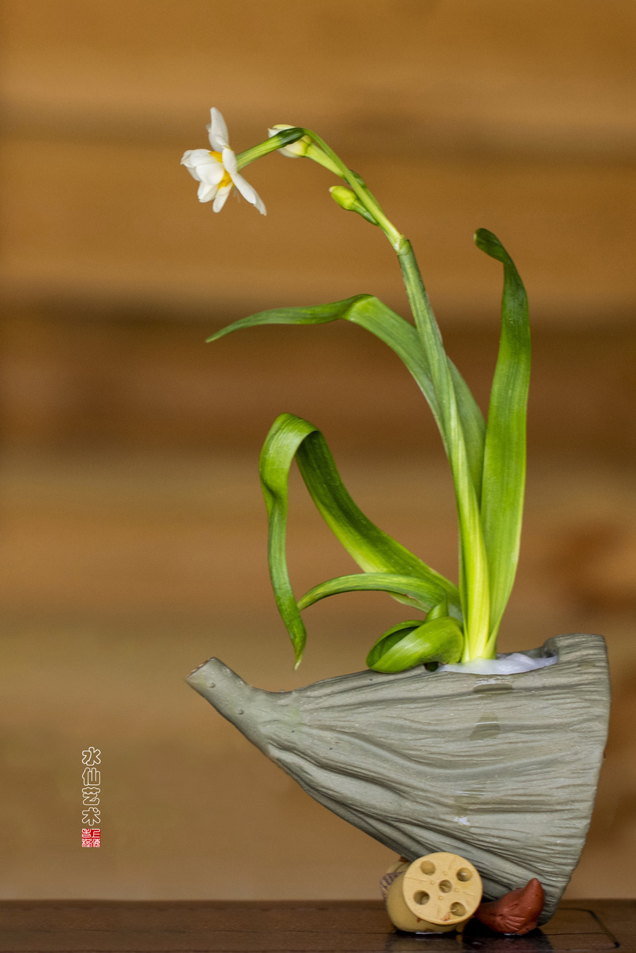 水仙花图片竖屏图片